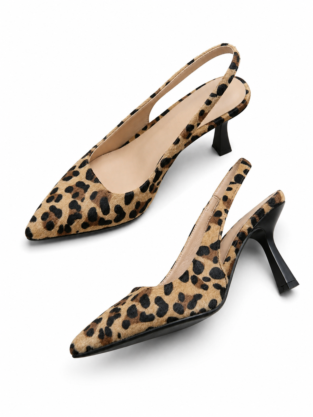 Leopardo